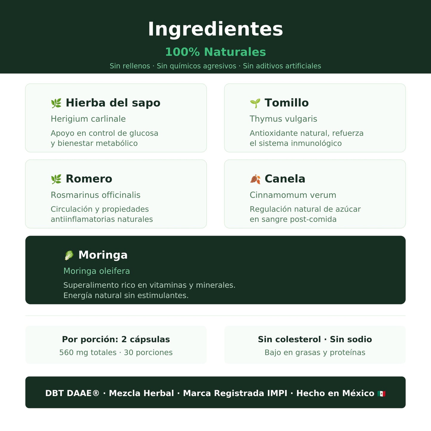 DBT - Suplemento Natural para el Bienestar Metabólico (60 cápsulas)